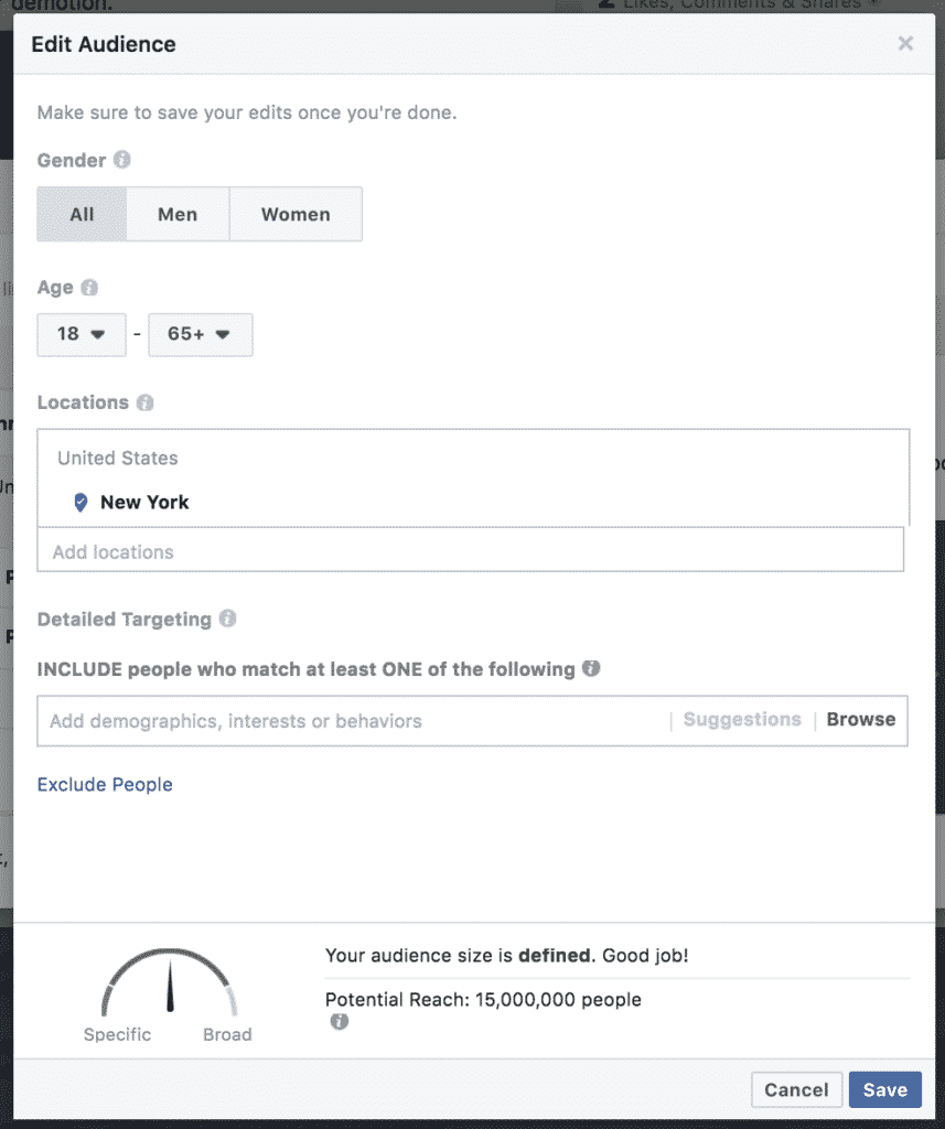 Facebook audience selection interface