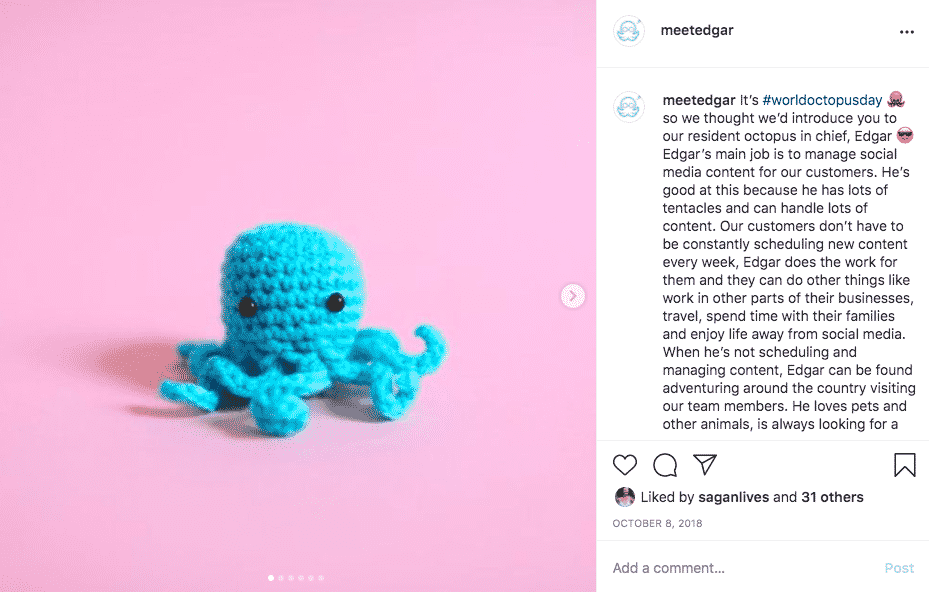 world octopus day example